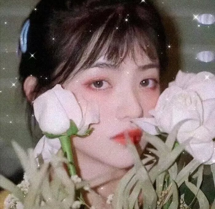 被嫌弃的松子的一生